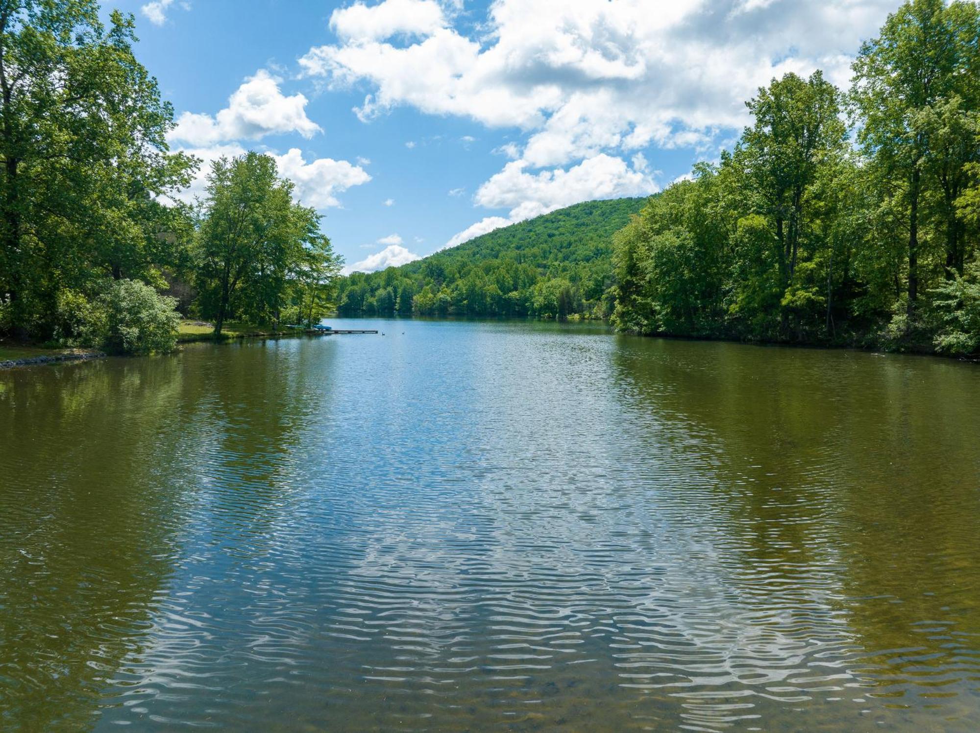 Waterfront Cabin 20 Mins To National Park & Massanutten! Stanardsville Экстерьер фото